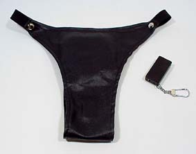 densi1.jpg (6195 �o�C�g)